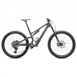 2025 Specialized Stumpjumper 15 Expert Mountain Bike